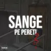 Tchls - Sange Pe Pereti 2 - Single